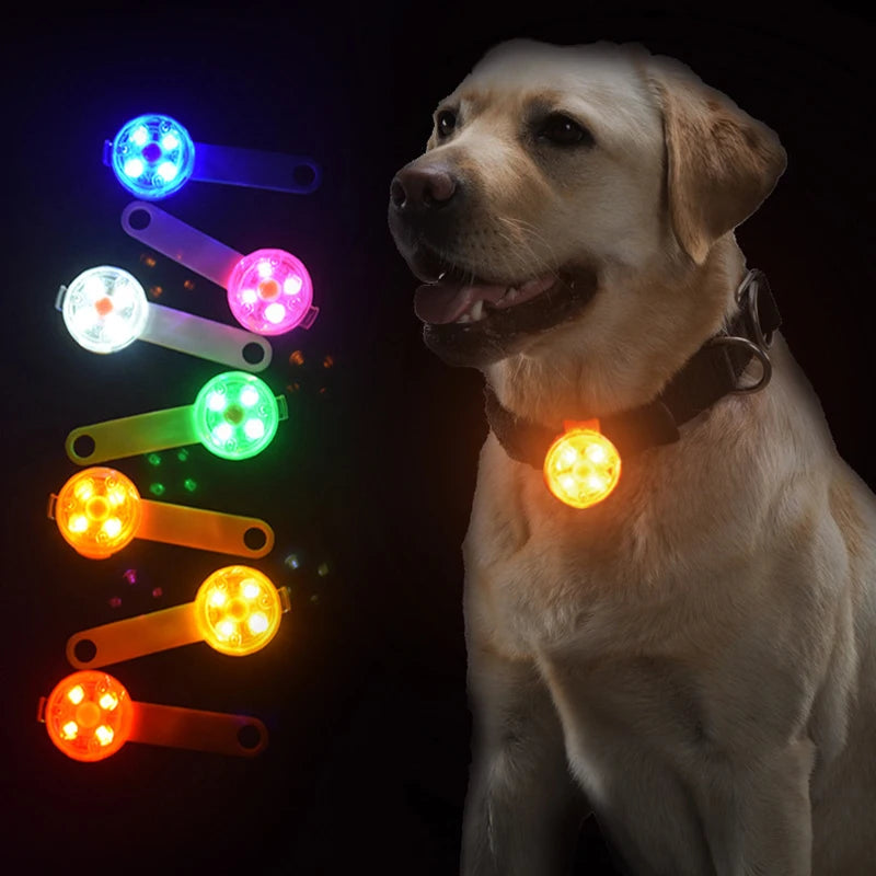 LED Pet Dog Cat Collar Pendant Night Safety Cat Luminous Light IPX7 Waterproof Flashing Harness With Light for Dog Accessories