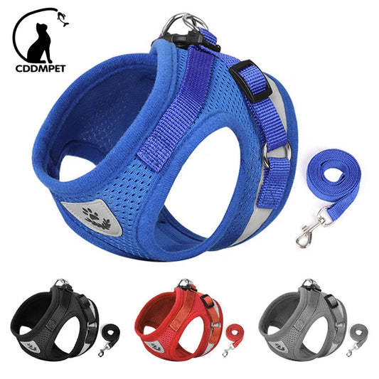 CDDMPET Dog Harness and Leash Set Outdoor Training Walking Harnesses Safety Sport Puppy Vest Pet Harness For Small Dogs Cats