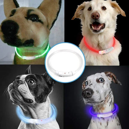 New Dog Collar Luminous Usb Cat Harnesses Collar Adjustable Led Light Glowing Loss Prevention LED Collar For Dog Pet Accessories