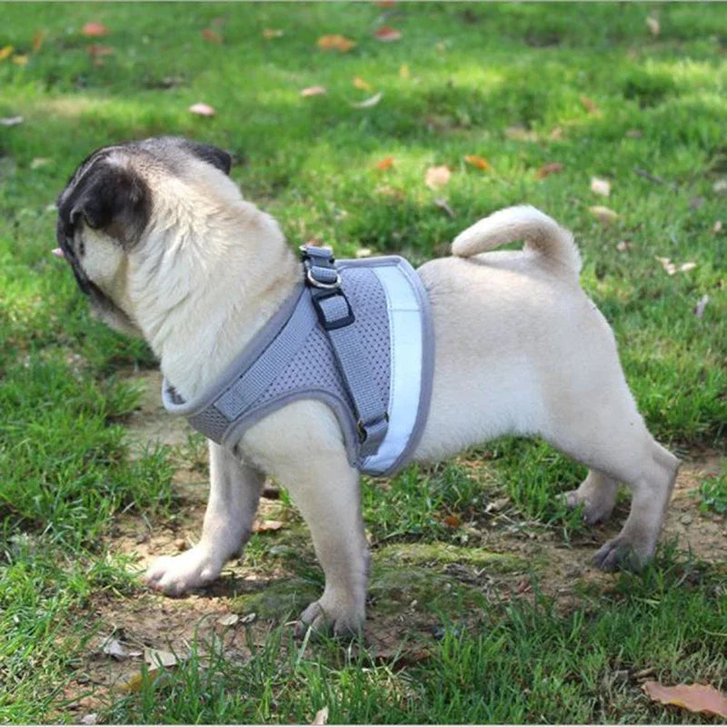 1pc Vest Harness Leash Adjustable Mesh Vest Dog Harness Collar Chest Strap Leash Harnesses With Traction Rope XS/S/M/L/XL